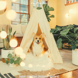 Sumptuous Guitar Solos - Vibe for Lonely Dogs