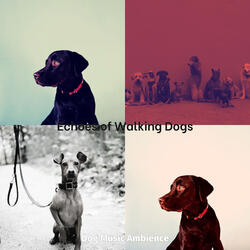 Mind-blowing Separation Anxiety