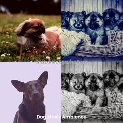 Dream Like Ambiance for Cute Puppies