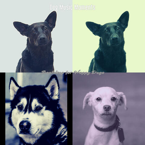 Backdrop for Happy Dogs