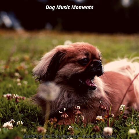 Backdrop for Cute Puppies - Acoustic Guitars