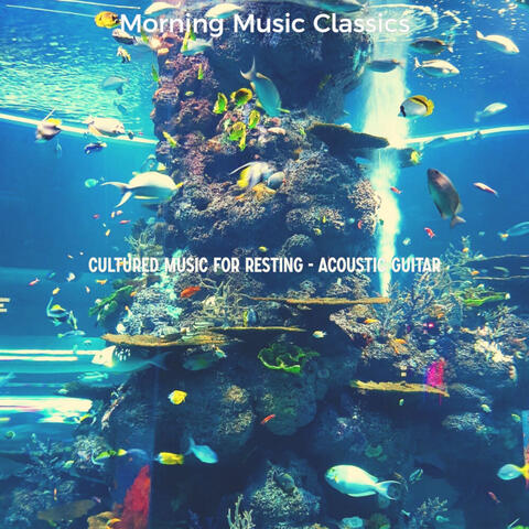 Cultured Music for Resting - Acoustic Guitar