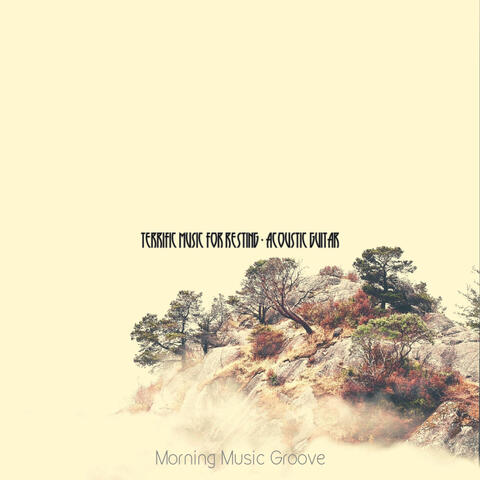 Terrific Music for Resting - Acoustic Guitar