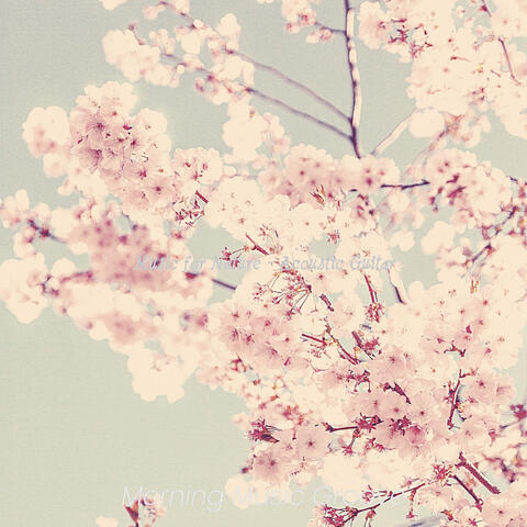 Music for Nature - Acoustic Guitar