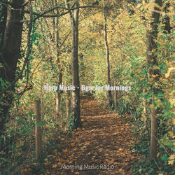 Brilliant Moods for Resting