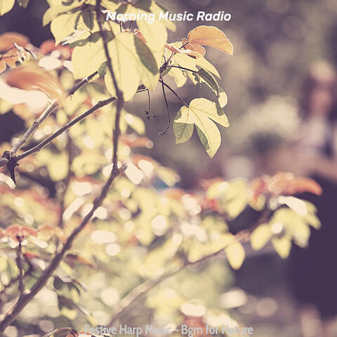 Festive Harp Music - Bgm for Nature