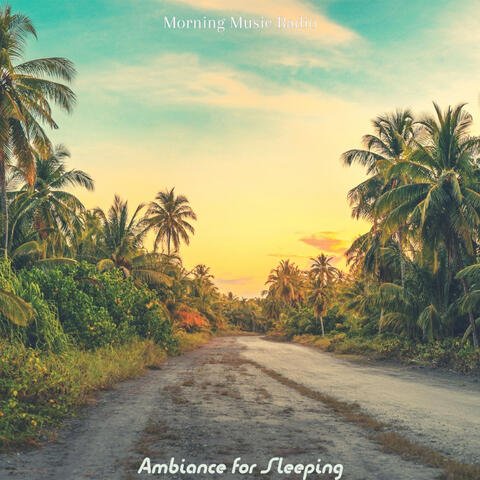 Ambiance for Sleeping