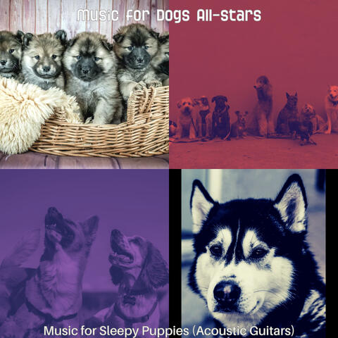 Music for Sleepy Puppies (Acoustic Guitars)