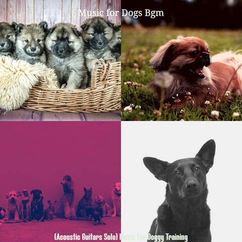 (Acoustic Guitars Solo) Music for Doggy Training