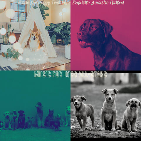 Music for Doggy Training - Exquisite Acoustic Guitars