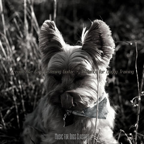 Dream-Like Easy Listening Guitar - Ambiance for Doggy Training