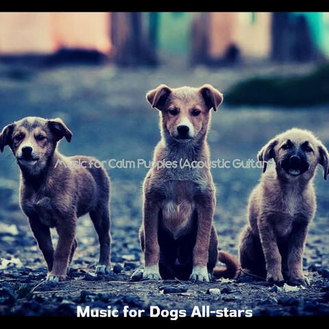 Music for Calm Puppies (Acoustic Guitars)