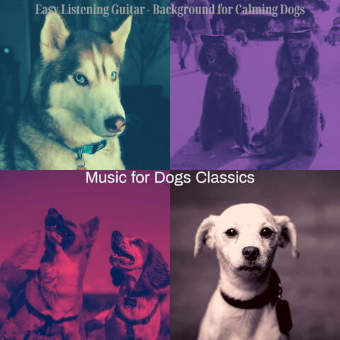 Easy Listening Guitar - Background for Calming Dogs