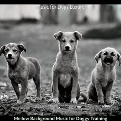 Cool Moods for Calm Puppies