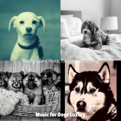 Background Music for Doggy Training