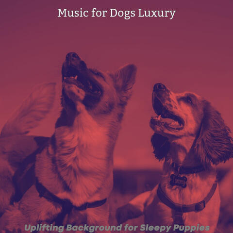 Uplifting Background for Sleepy Puppies