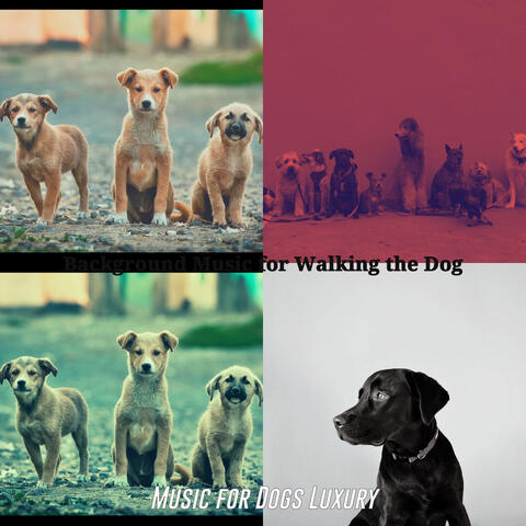 Background Music for Walking the Dog