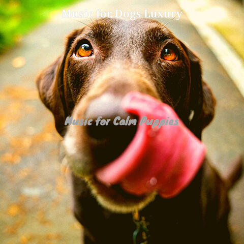 Music for Calm Puppies