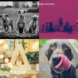 Artistic Doggy Training