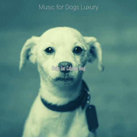 Music for Calming Dogs