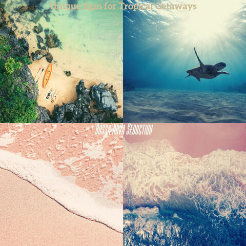 Unique Bgm for Tropical Getaways