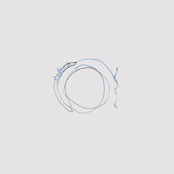 Ginsu (feat. Saloio)