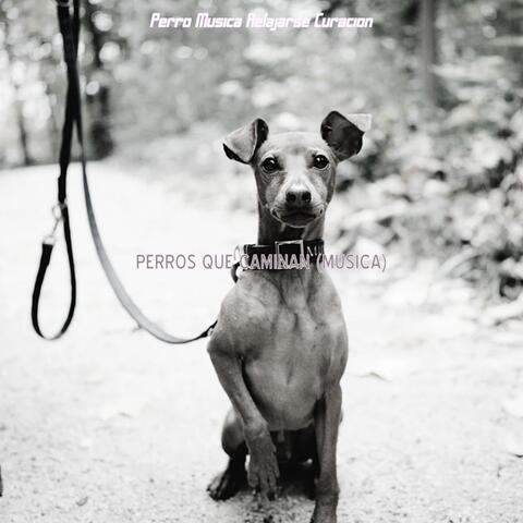 Perros que Caminan (Musica)