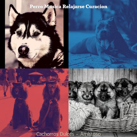 Cachorros Dulces - Amistoso