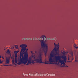 Perros que Caminan (Sentimientos)