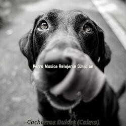 Agradable (Cachorros Dulces)