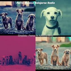 Recuerdos (Perros que Caminan)