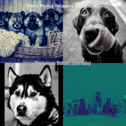 Calentar (Perros que Caminan)