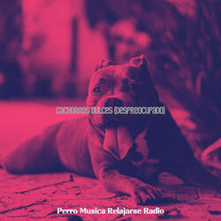 Edificante (Perros de Adiestramiento)