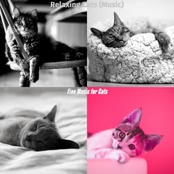 Number One (Relaxing Cats)