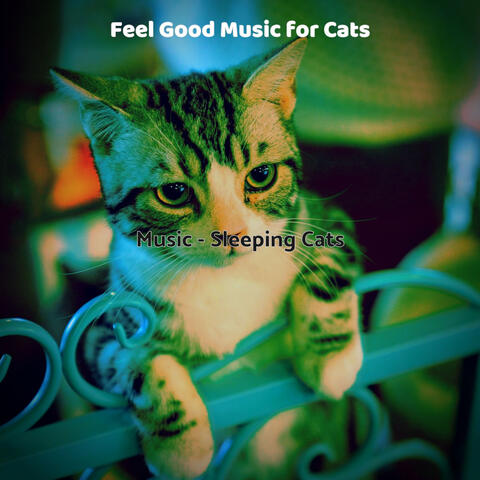 Music - Sleeping Cats