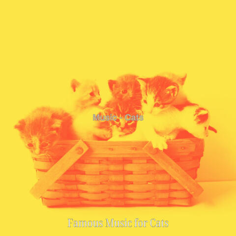 Music - Cats