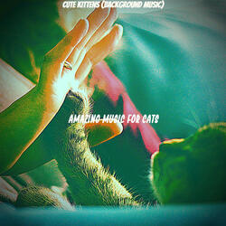 Excellent (Relaxing Cats)