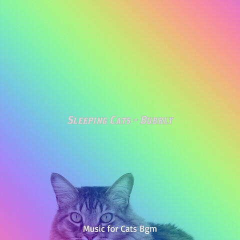 Sleeping Cats - Bubbly