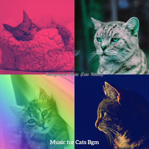 Background Music (Cute Kittens)