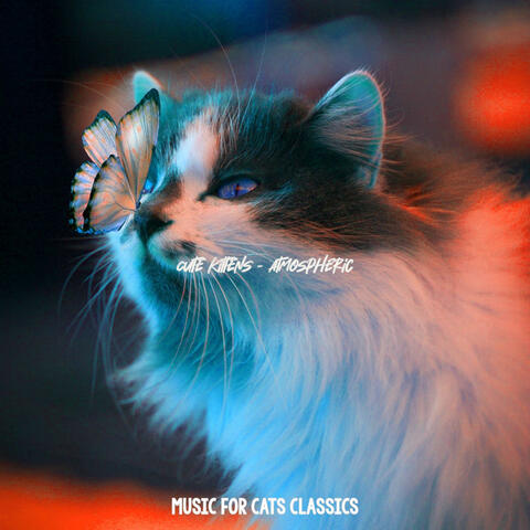 Cute Kittens - Atmospheric