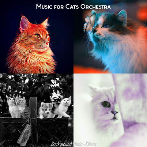 Background Music - Kittens