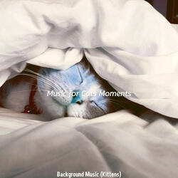 Memories (Kittens)