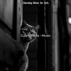 Loving (Relaxing Cats)