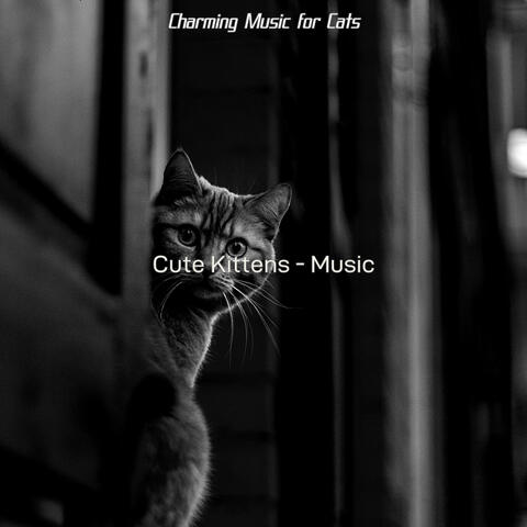Cute Kittens - Music