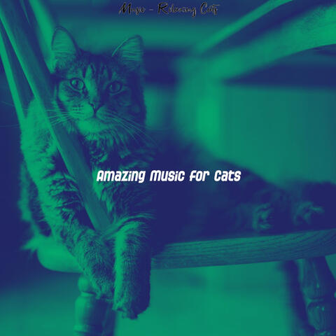 Music - Relaxing Cats