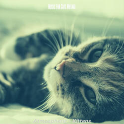 Sort (Sleeping Cats)