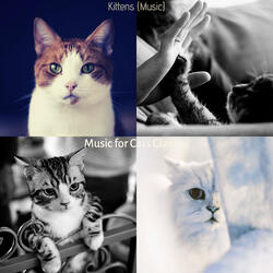 Music (Training Cats)