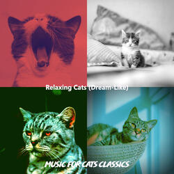 Kittens - Dreams