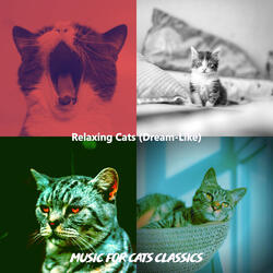 Kittens - Dreams