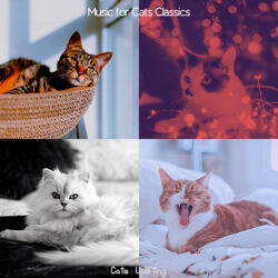 Feelings (Sleeping Cats)